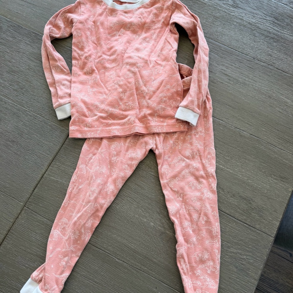 Cozy Coral Dinosaur Kids Pajama Set